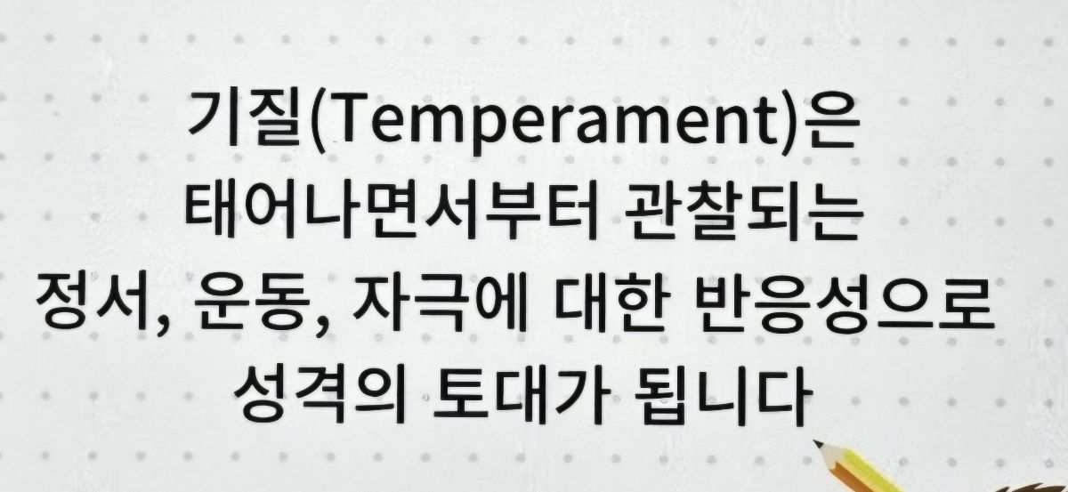 KakaoTalk_20250115_180149592.jpg