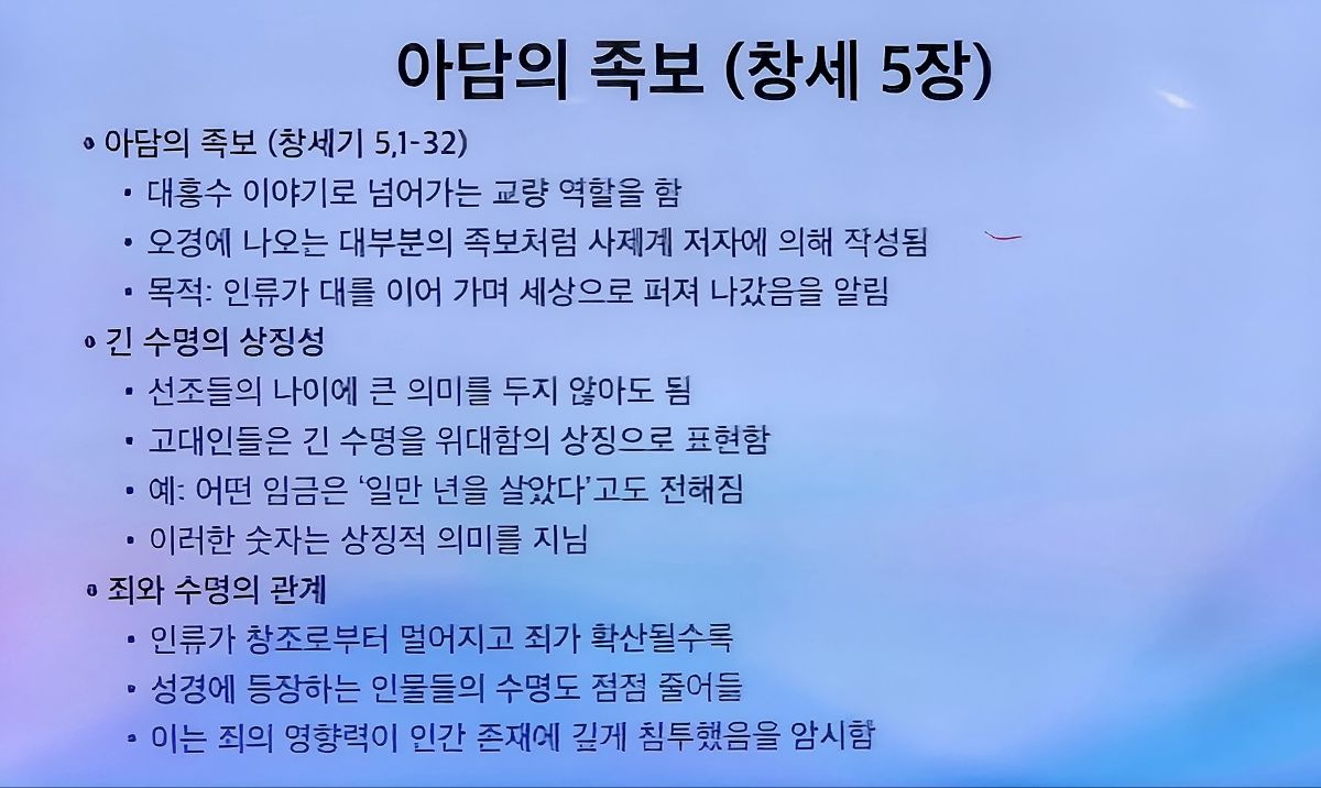 KakaoTalk_20250410_231517255.jpg