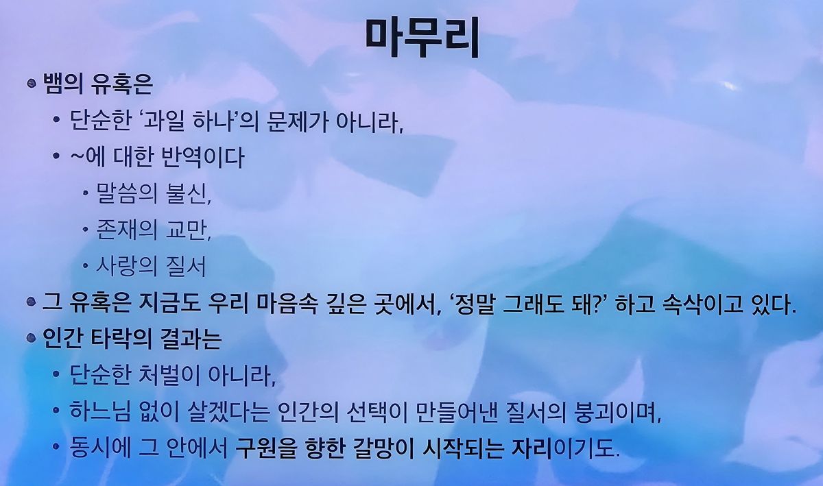 KakaoTalk_20250410_231559115.jpg