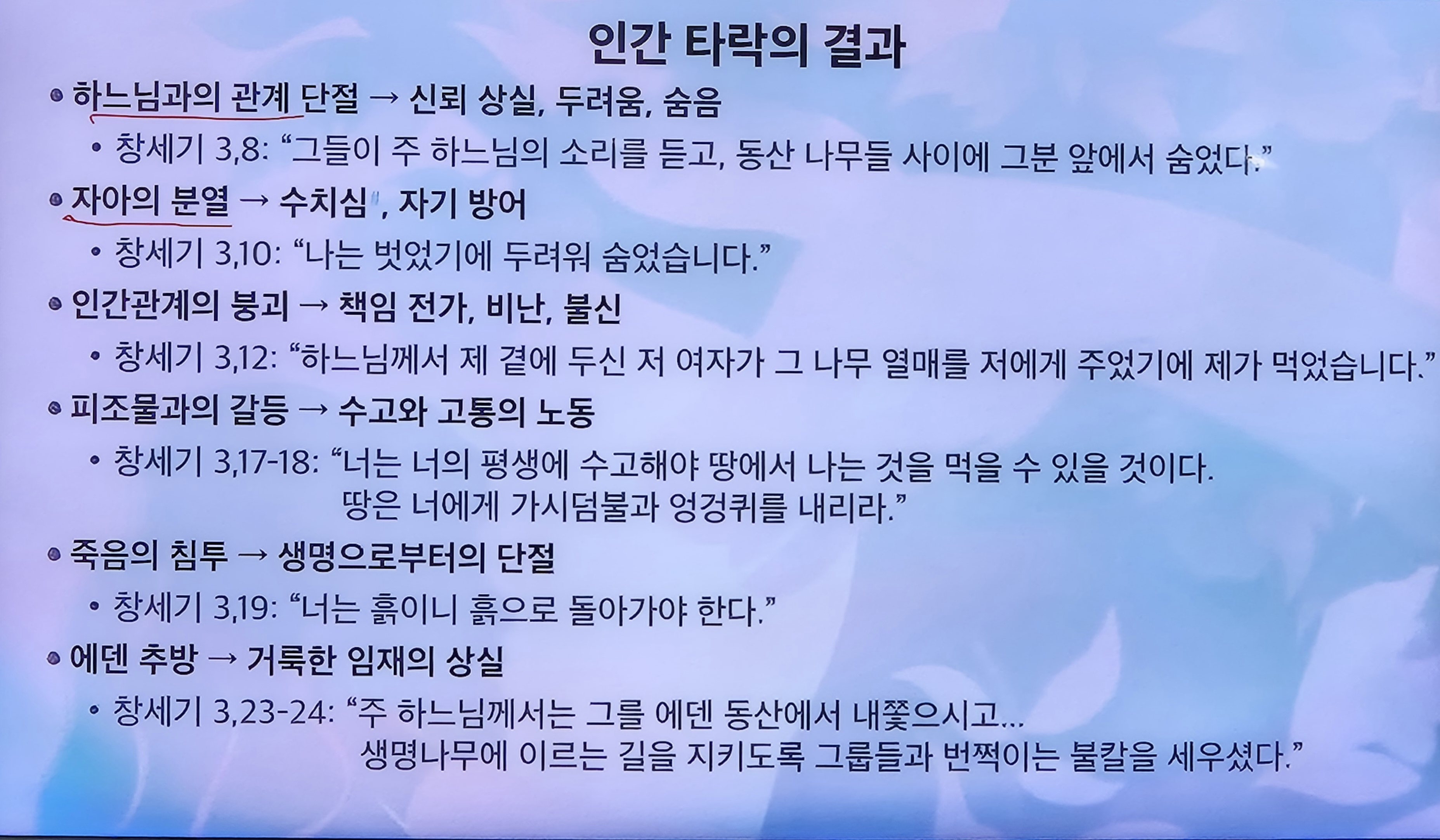 KakaoTalk_20250410_231618148.jpg