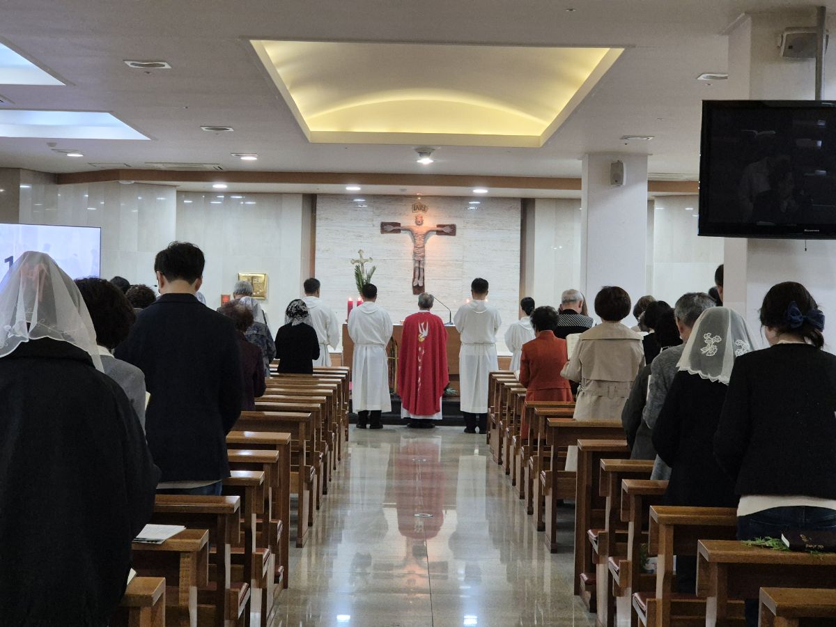 KakaoTalk_20250413_222359909.jpg