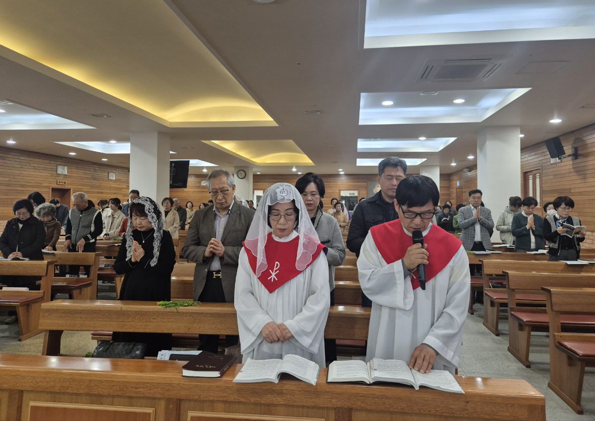 KakaoTalk_20250413_222215638.jpg