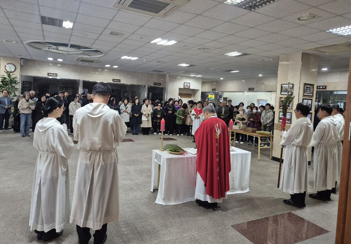 KakaoTalk_20250413_222325334.jpg
