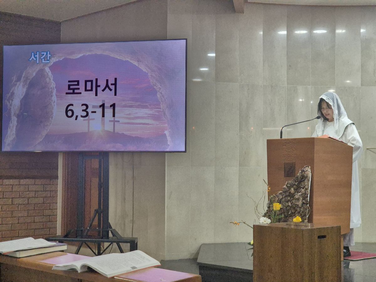 KakaoTalk_20250420_205749525.jpg