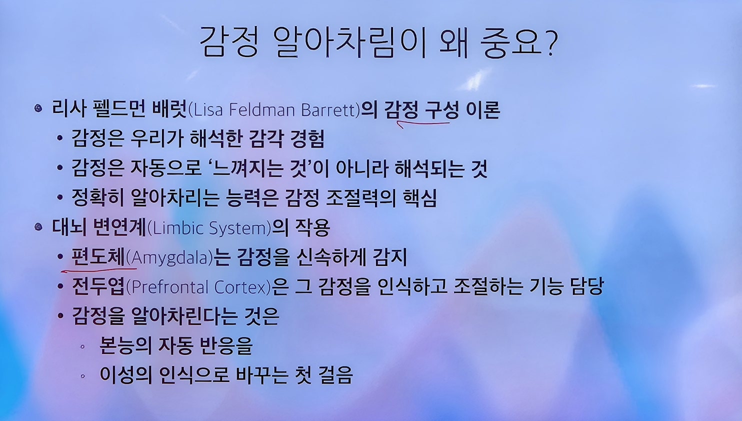 KakaoTalk_20250511_220344017.jpg