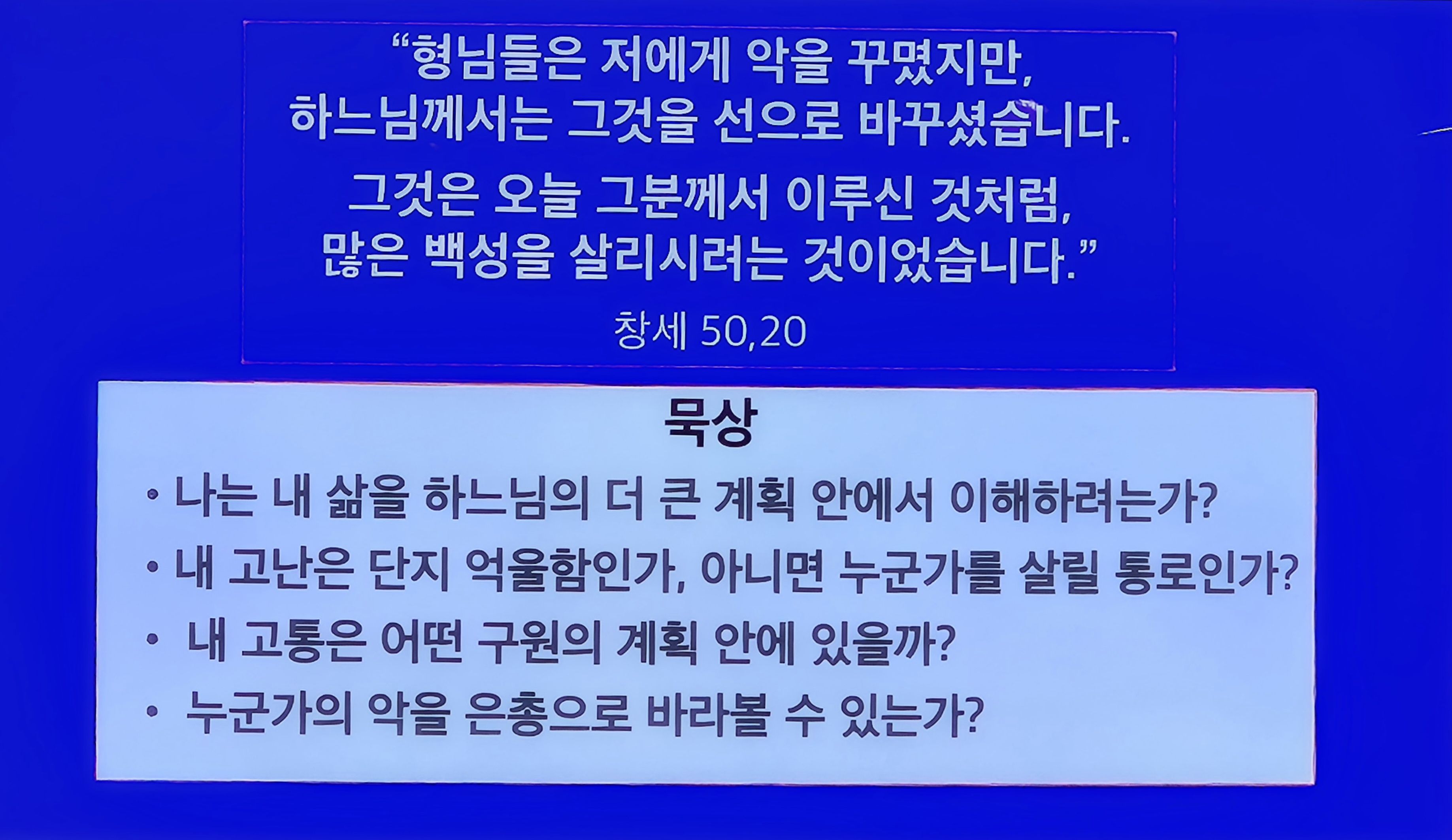 KakaoTalk_20250522_222030962.jpg