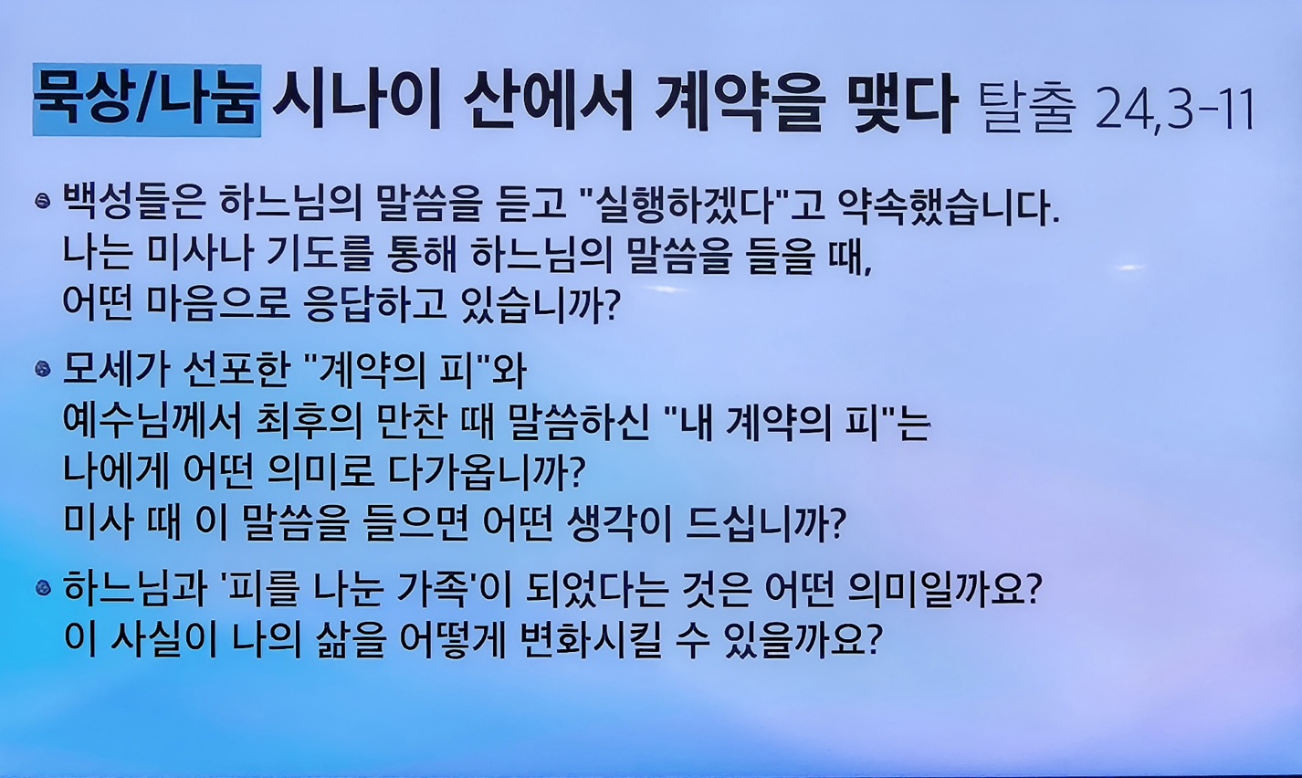 KakaoTalk_20250803_211539823.jpg